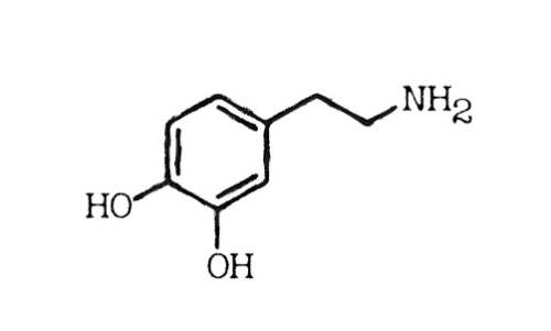 도파민 분자구조