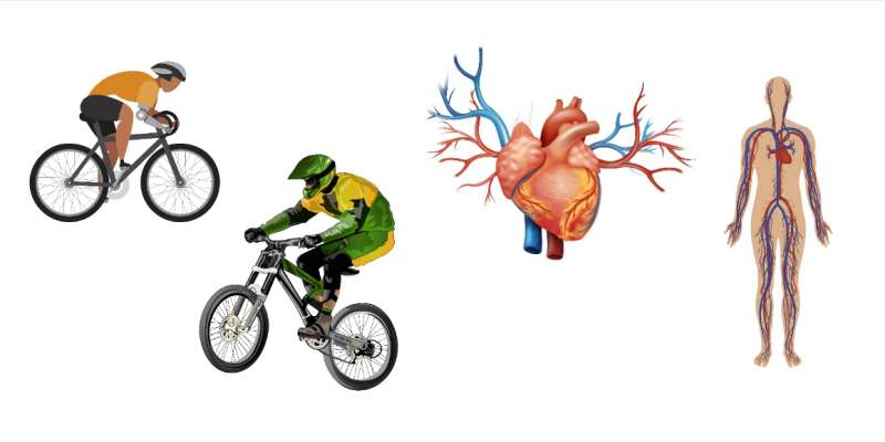 자전거 운동 심혈관
